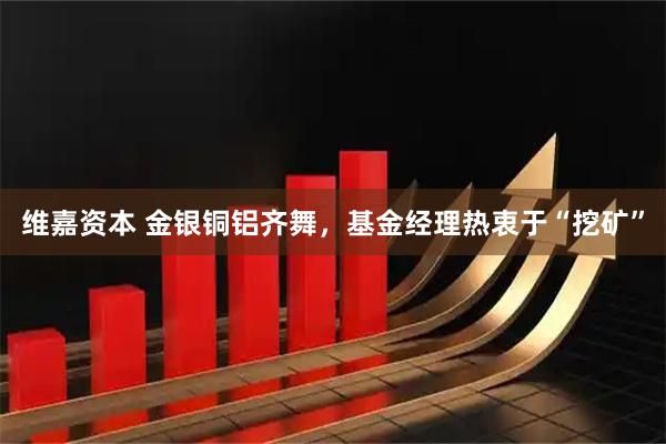 维嘉资本 金银铜铝齐舞，基金经理热衷于“挖矿”