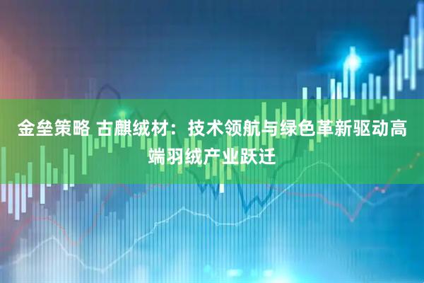 金垒策略 古麒绒材：技术领航与绿色革新驱动高端羽绒产业跃迁